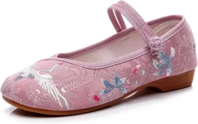 Stunner Women's Vintage Embroidered Shoes Comfortable Flat Shoes Mary Jane Shoes